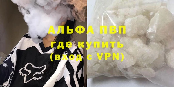 ешки Ельня