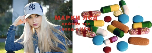 амф Дмитриев