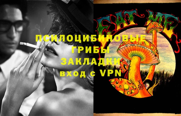 амф Дмитриев