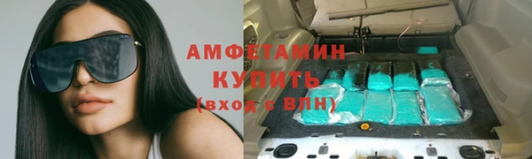 амф Дмитриев