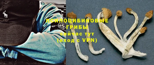 амф Дмитриев