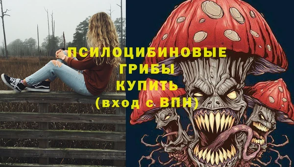 прущая мука Дмитровск
